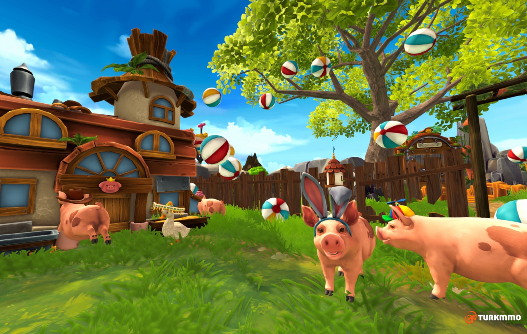 44.jpg