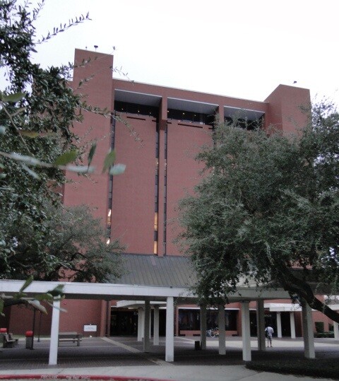 MJGrayLibraryTrees.jpg