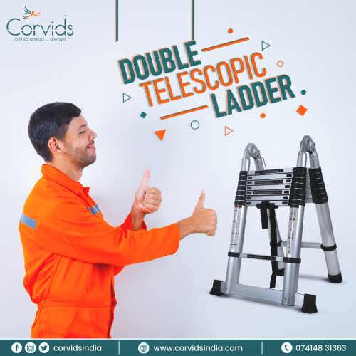 Corvids-double-telescopic-ladder-post.jpg