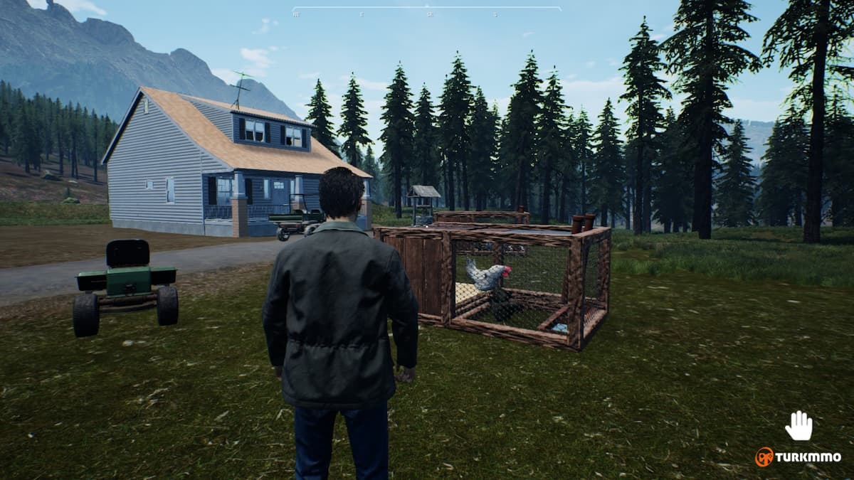 Ranch-simulator-chickens.jpg