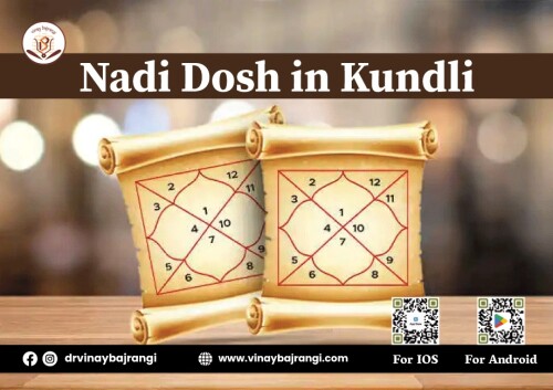 nadi-dosh-in-kundli.jpg