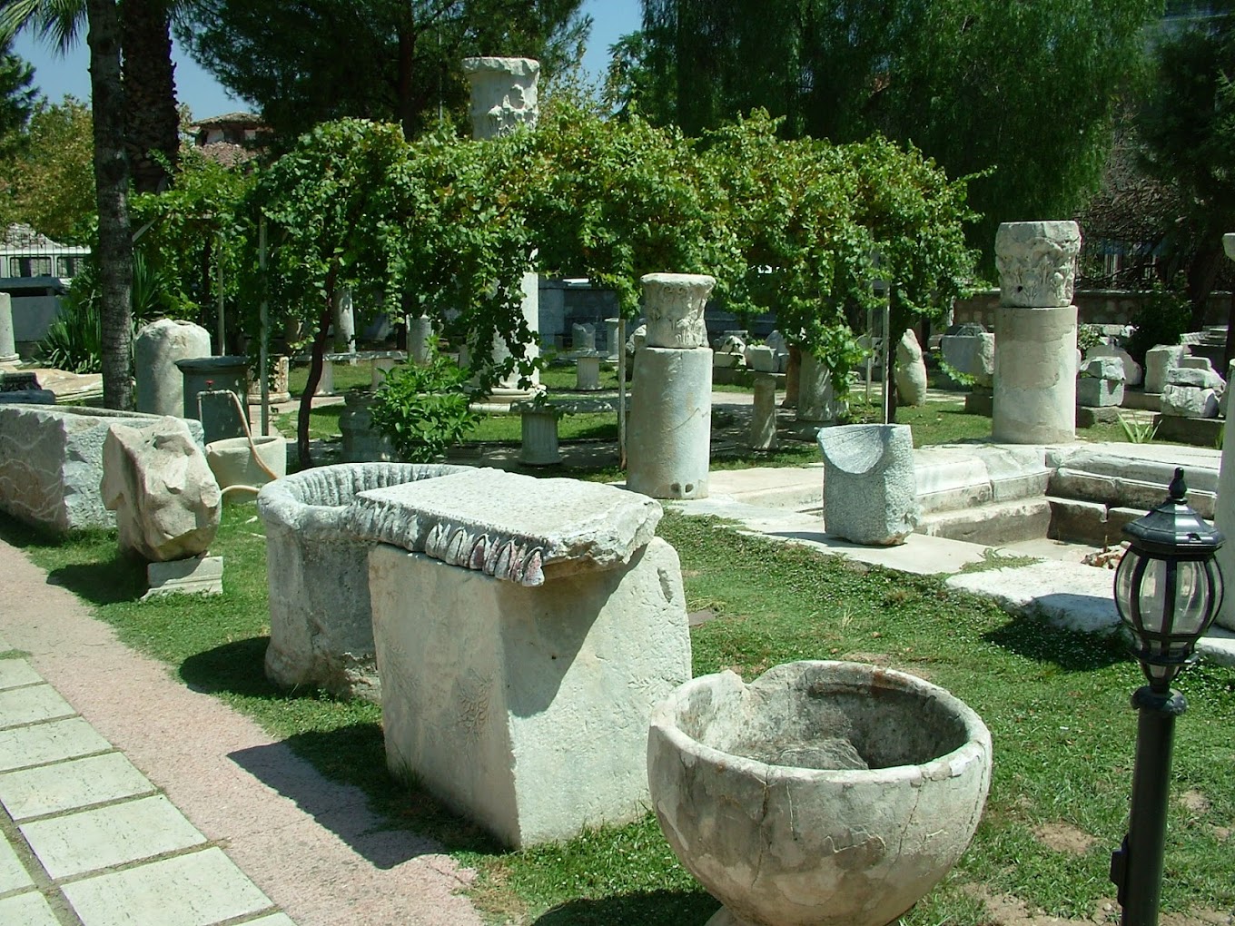 DSCF3595.jpg