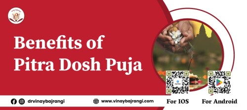 Benefits-of-Pitra-Dosh-Puja.jpg