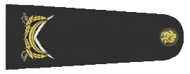 1000069768.gif