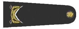 1000069771.gif