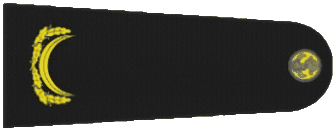 1000069819.gif