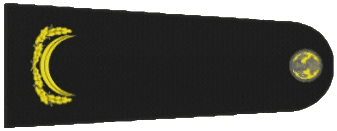 1000069821.gif