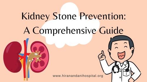 Kidney Stone Prevention A Comprehensive Guide