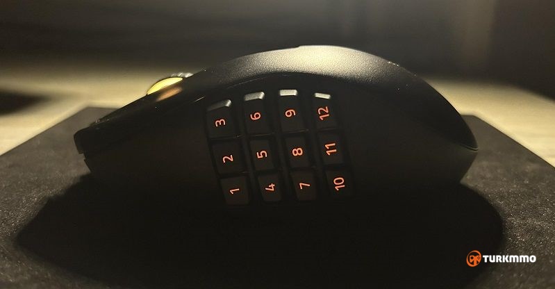Razer_253.jpg