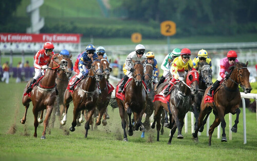 Seeking the best Ezgo 123 horse betting in Singapore? 126asia.com is here to help you. We offer the widest range of betting options and the most competitive odds in the market. Sign up now and enjoy the thrill of horse racing. For more details, visit our site.

Visit - https://www.126asia.com/horse-racing