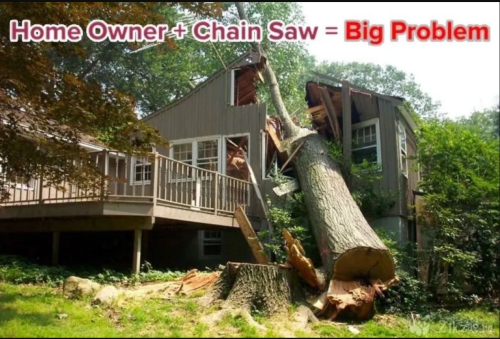 Our expert tree service team provides professional and reliable tree care in Edgewood, Baldwin, Kingsville, Foresthill, Churchville, and Darlington. From tree removal to trimming and maintenance.

Read More: https://treediscountservice.com/