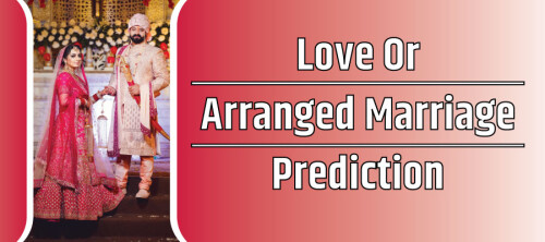 Love Or Arranged Marriage Prediction