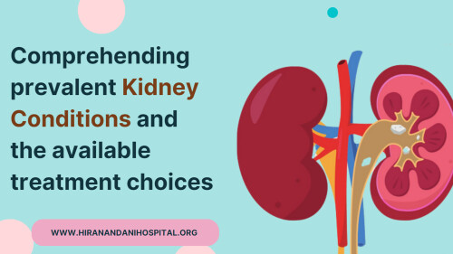 Comprehending-prevalent-kidney-conditions-and-the-available-treatment-choices.jpg