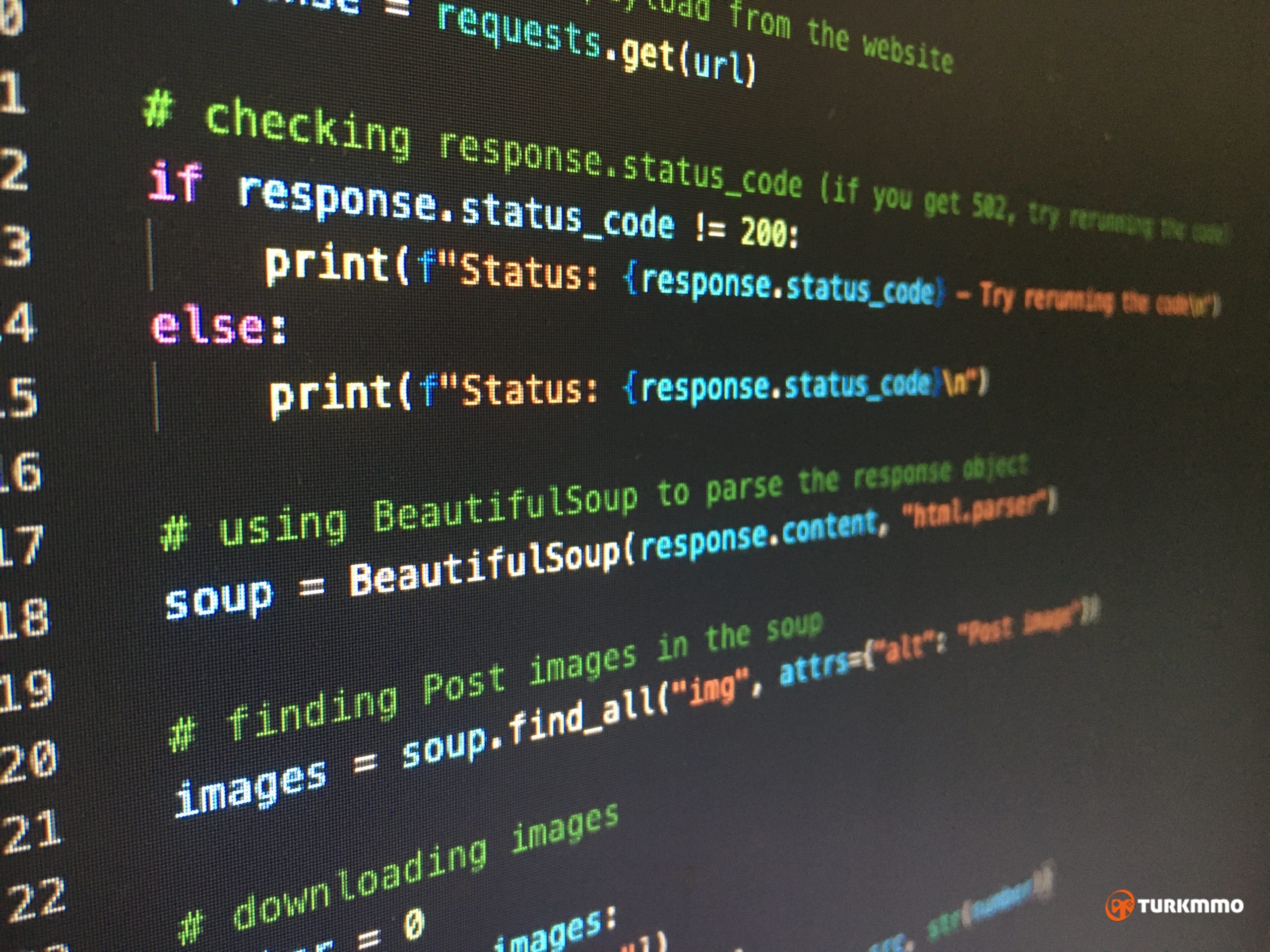 artturi-jalli-g5_rxRjvKmg-unsplash-scaled.jpg