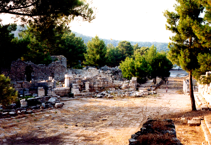 Phaselis_axb01.jpg