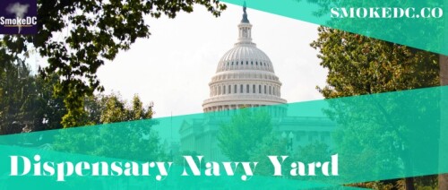 dispensary-navy-yard.jpg