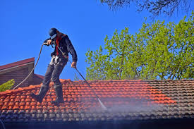 Best-Roof-Gutter-Cleaning-in-Sydney.jpg