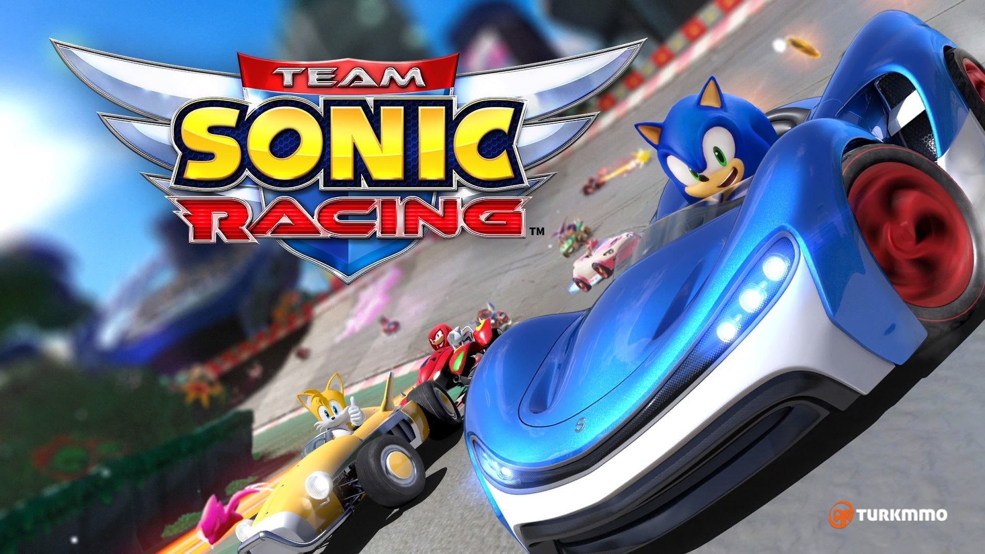 Team-Sonic-Racing-001.jpg