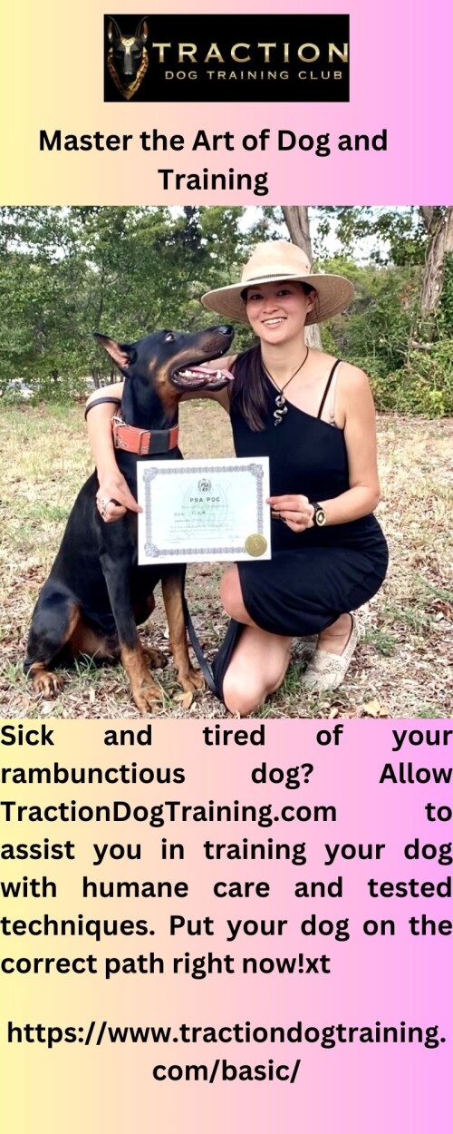 Use Tractiondogtraining.com to properly train your puppy! Our special, positive-reinforcement-based techniques give your dog the greatest care possible and support the development of wholesome habits.

https://www.tractiondogtraining.com/rescue/