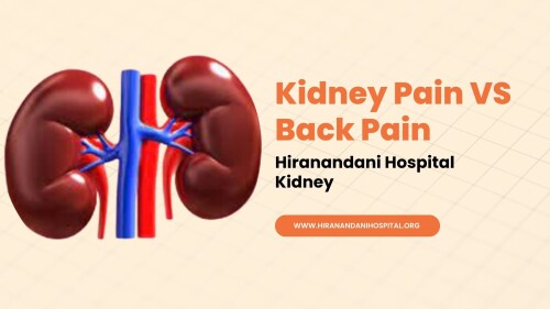 Kidney-Pain-vs-Back-Pain--Hiranandani-Hospital-Kidney.jpg