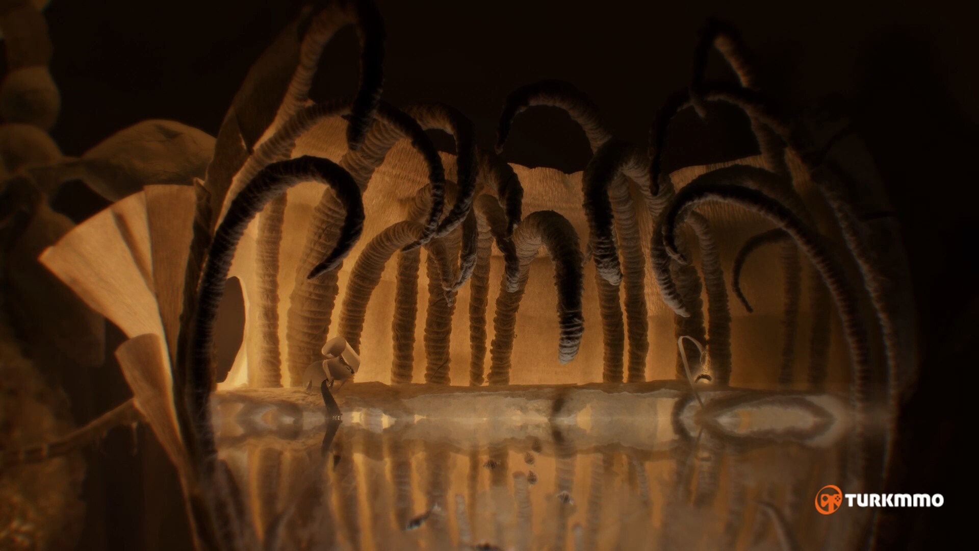 45231bddd3869838c.jpg