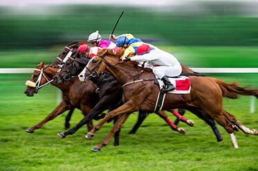 horse-racing-betting-sites.jpg