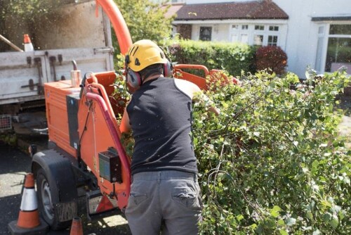 VisionTreeService.com provides reliable and professional tree care services near you. Our experienced team is dedicated to providing the highest quality of service with an emotional touch to ensure your trees look their best.

https://visiontreeservice.com/