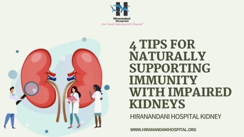 4-TIPS-FOR-NATURALLY-SUPPORTING-IMMUNITY-WITH-IMPAIRED-KIDNEYS--Hiranandani-Hospital-Kidney.jpg