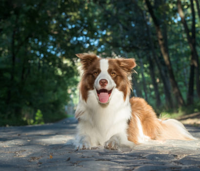 shutterstock_2022800912-1.jpg