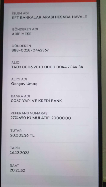 imagea39515ea4d245882.png