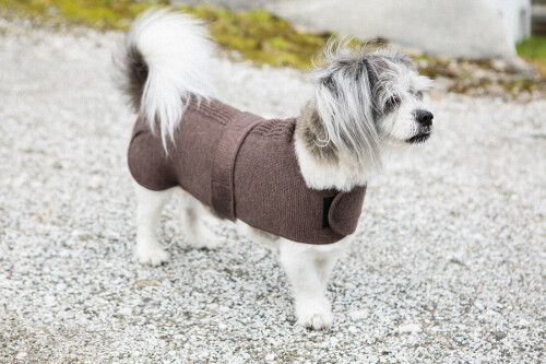 Ensure your four-legged companion stays cozy and stylish with Lanullva's Hundedekken range. Crafted from the finest wool, our dog coats provide unparalleled warmth and comfort, perfect for those chilly walks. Shop now for the ultimate winter protection for your beloved pet!
Visit now: https://www.lanullva.no/collections/hund-hundedekken