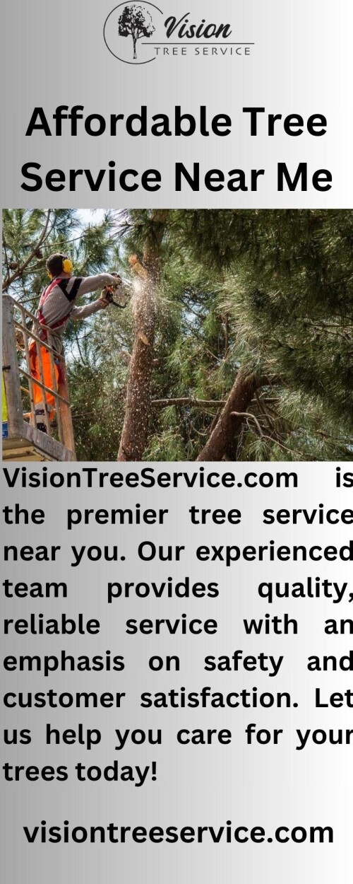 At Visiontreeservice.com, we understand how important it is to keep your trees healthy and beautiful. Our experienced team provides reliable tree maintenance services near you, so you can trust us to keep your trees looking great!


https://visiontreeservice.com/