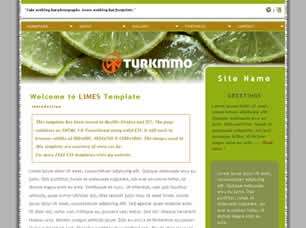 limes.jpg