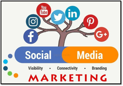 Finding an affordable and reliable Indian smm panel? Primesmm.com is an excellent online platform that provides an all-In-One social media marketing tool you will need. We offer high-quality services at a fraction of the cost of our competitors. Check out our site for more details.

https://primesmm.com/