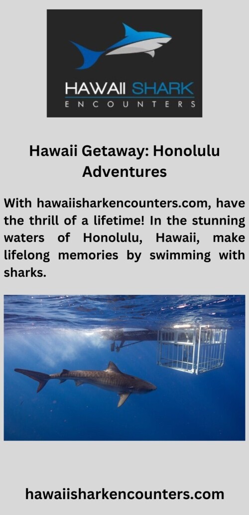 With hawaiisharkencounters.com, have the thrill of a lifetime! In the stunning waters of Honolulu, Hawaii, make lifelong memories by swimming with sharks.

https://hawaiisharkencounters.com/