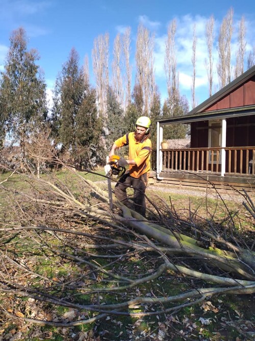Tree Services Rangiora offers expert arboricultural solutions in the heart of New Zealand. With a team of skilled professionals, they provide tree removal, pruning, and stump grinding services. Committed to safety and environmental responsibility, they ensure the well-being and longevity of the region's greenery.

https://proarbcanterbury.kiwi/
