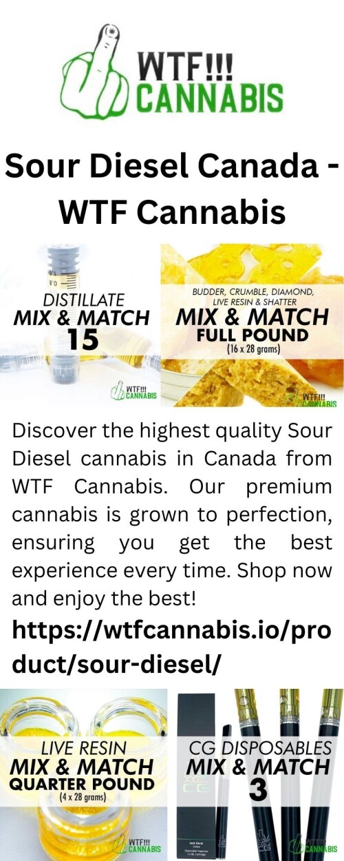 Discover the highest quality Sour Diesel cannabis in Canada from WTF Cannabis. Our premium cannabis is grown to perfection, ensuring you get the best experience every time. Shop now and enjoy the best!

https://wtfcannabis.io/product/sour-diesel/