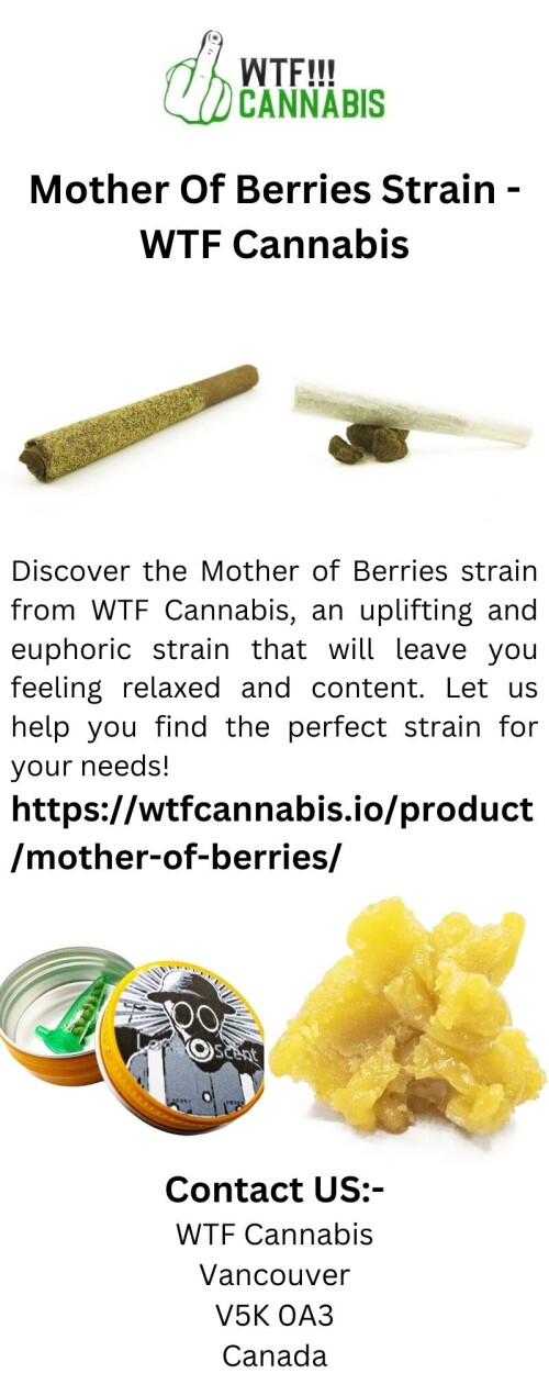 Discover the Mother of Berries strain from WTF Cannabis, an uplifting and euphoric strain that will leave you feeling relaxed and content. Let us help you find the perfect strain for your needs!

https://wtfcannabis.io/product/mother-of-berries/
