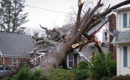 Enjoy the comfort of knowing that Morganrestore.com has your home covered. All storm damage repairs can be handled by our skilled staff. Have faith in us.

https://morganrestore.com/storm-damage/
