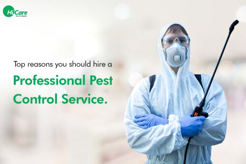 Pest control agencies specialize in eliminating and preventing infestations of pests, such as insects, rodents, and termites. Using various methods like chemical treatments, traps, and integrated pest management, these agencies safeguard homes and businesses from the detrimental effects of unwanted creatures, ensuring a healthier and pest-free environment.https://pest2kill.com.au/pest-control-services/