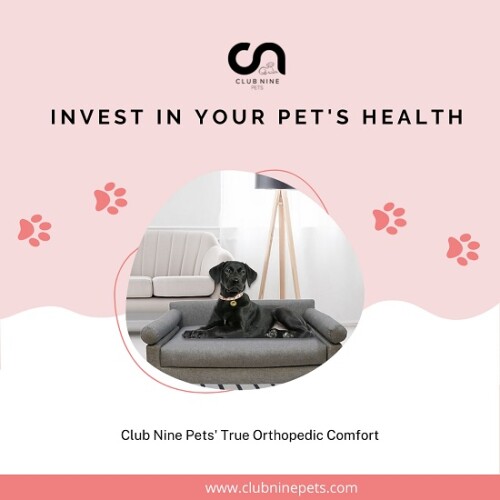 We manufacture full line of designer pet beds. Every product we offer is made in the USA. Club nine pets delivers the highest quality pet furniture designed for lifestyle.

https://www.clubninepets.com/home-furnishing-stores