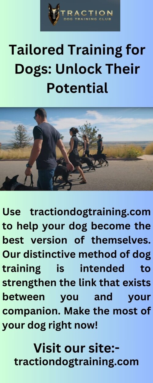 Dog training from the best! Here at Tractiondogtraining.com, we provide you with the resources and know-how you need to establish a solid and enduring partnership with your dog. Use our training programs to get the greatest outcomes right now!

https://tractiondogtraining.com/boarding/