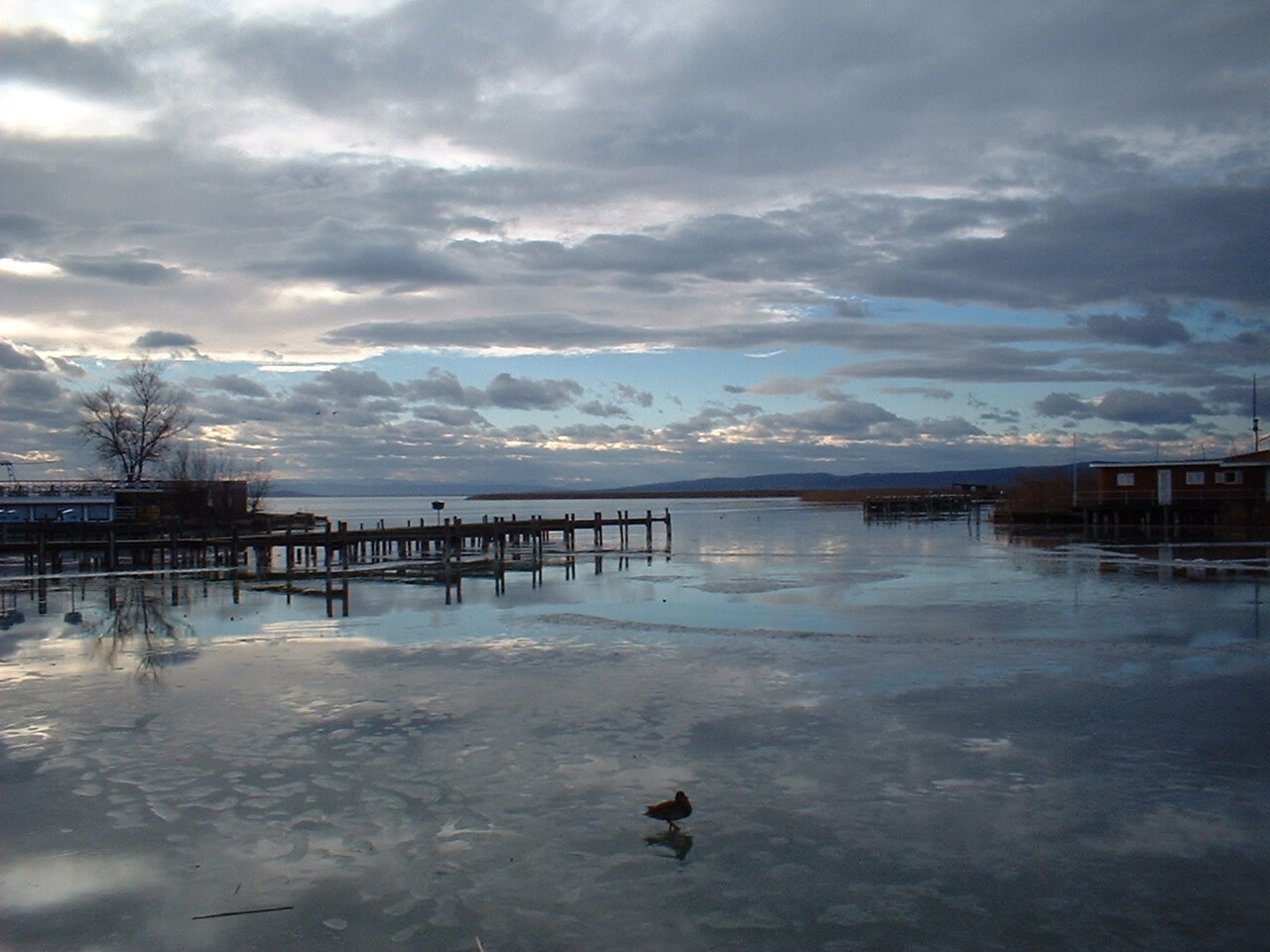 Neusiedler_See_im_Winter.jpg