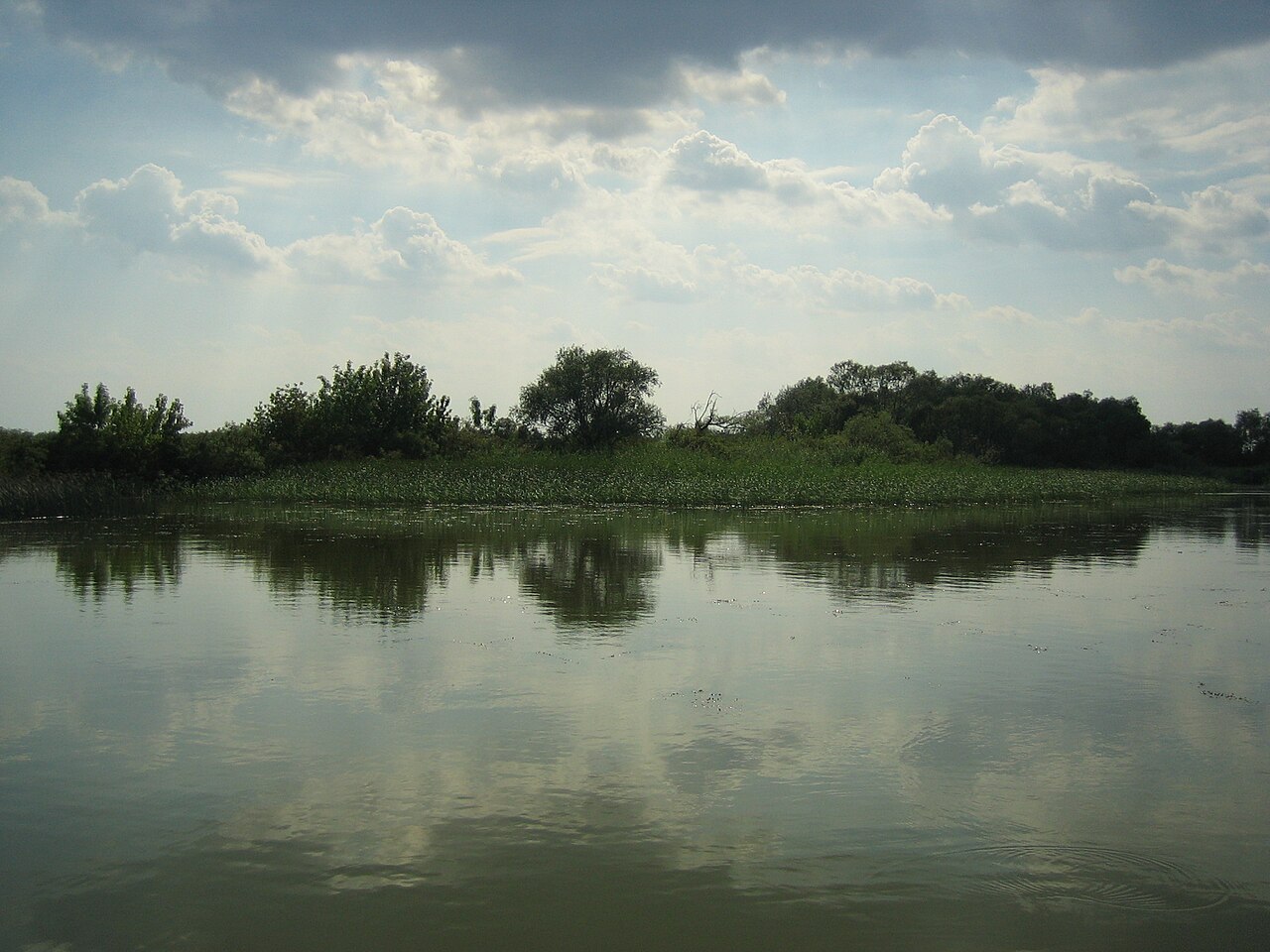 Tisza-to.jpg