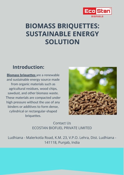 Biomass Briquettes Sustainable Energy Solution (1)