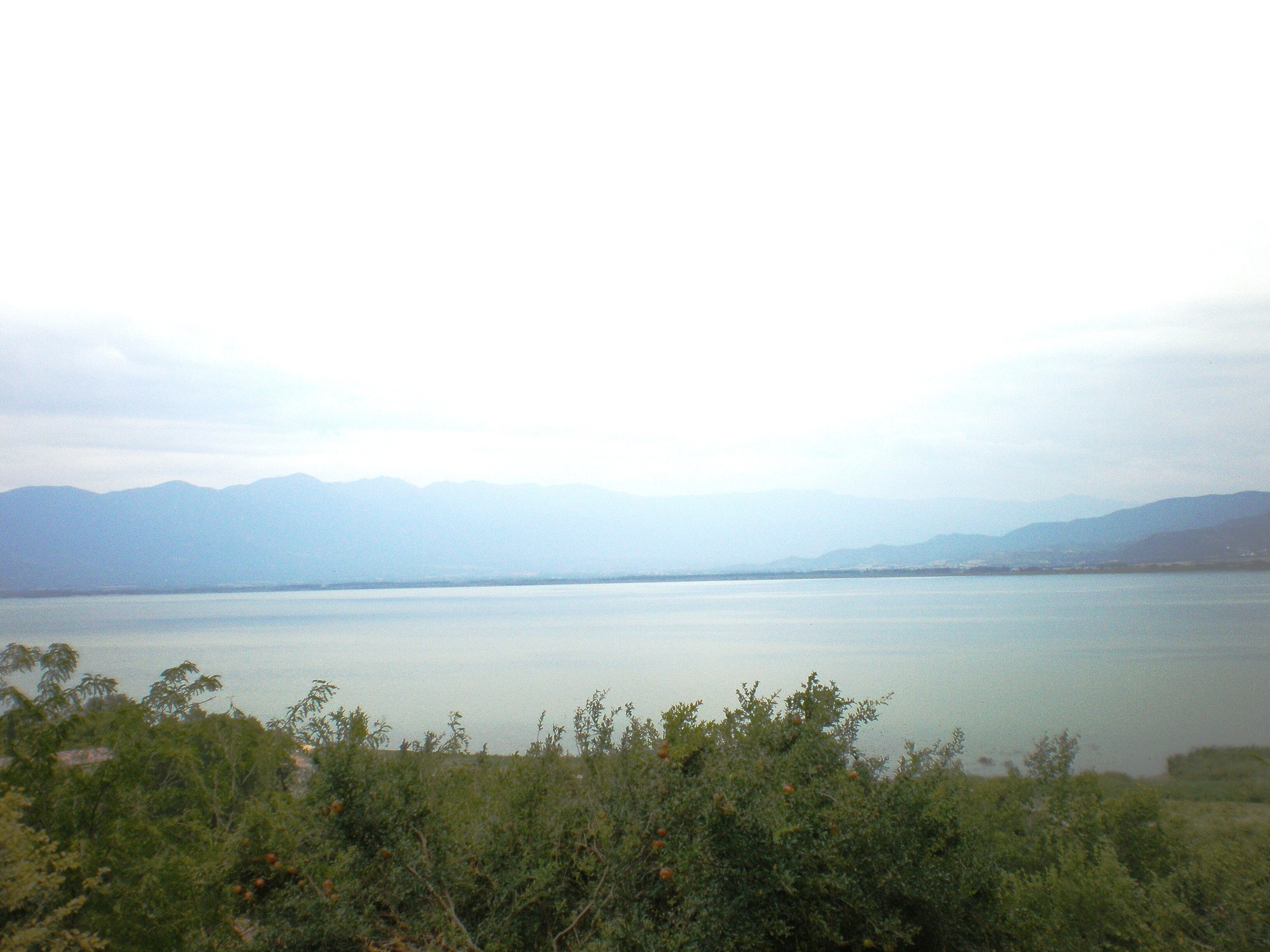 Dojran-Lake-MACEDONIA.jpg