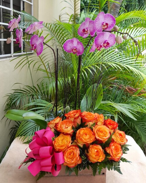 Celebra tu cumpleaños en Santo Domingo con la magia de nuestros hermosos arreglos florales en superflores.com. Cada arreglo es una expresión de amor y alegría en forma de flores frescas.
https://superflores.com/product-category/cumpleanos/