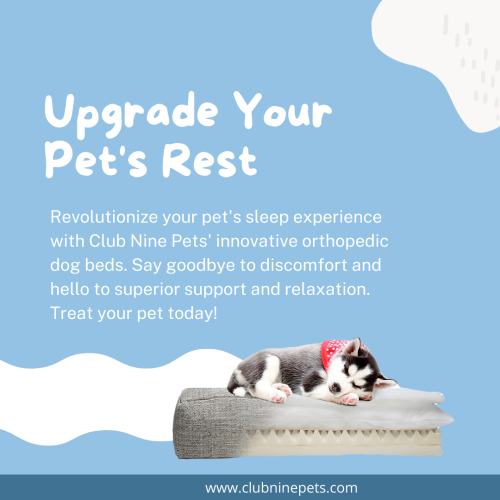 Discover the epitome of comfort and style with Club Nine Pets' range of orthopedic dog beds, sofa beds, and elevated designs. Elevate your pet's space with modern, furniture-quality, and designer options, perfect for large breeds.
https://www.facebook.com/ClubNinePets/