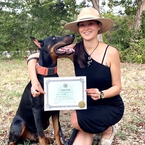 Tractiondogtraining.com can assist you in training your dog. Our special method helps your dog learn good behavior by rewarding good behavior. Start now and relish the relationship that accompanies owning a well-mannered dog!

https://tractiondogtraining.com/aggression/