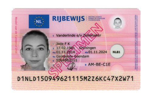 Netherlands-Drivers-Licence.png
